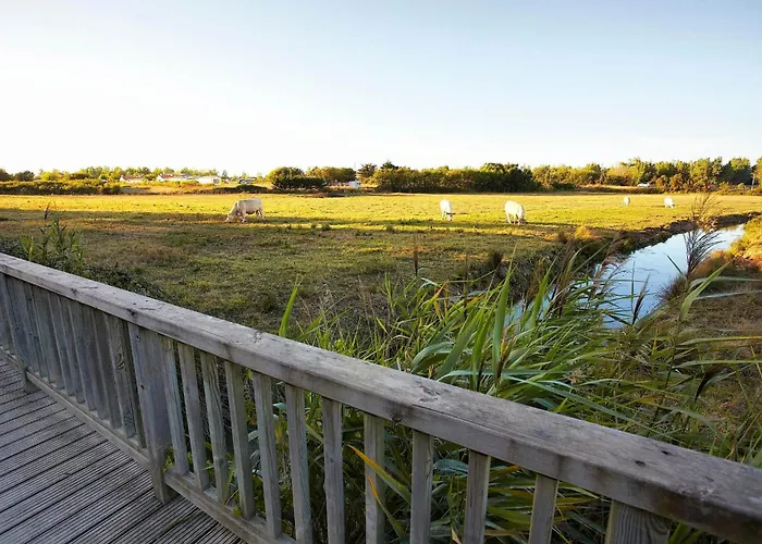 Tresor De La Maree * Givrand